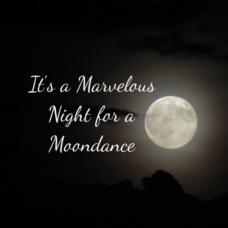 A Marvelous Night for a Moondance - Like a Mother